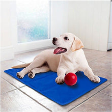 Load image into Gallery viewer, Lauva Dog Cooling Mat Medium,